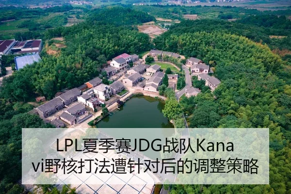 LPL夏季赛JDG战队Kanavi野核打法遭针对后的调整策略
