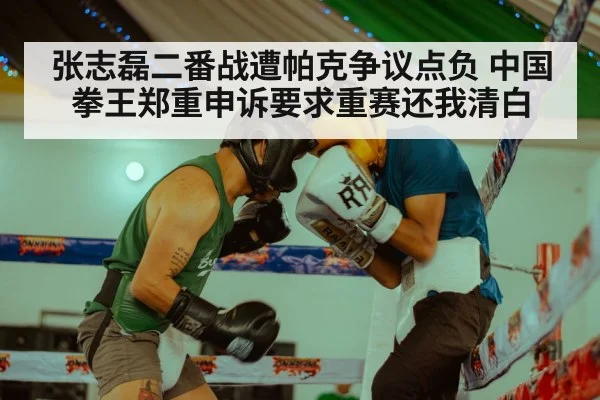 张志磊二番战遭帕克争议点负 中国拳王郑重申诉要求重赛还我清白